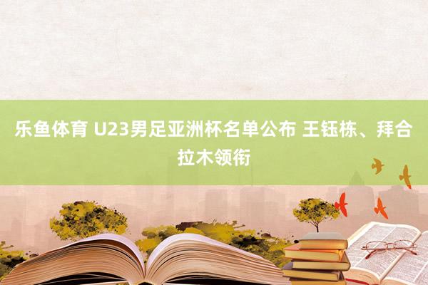 乐鱼体育 U23男足亚洲杯名单公布 王钰栋、拜合拉木领衔