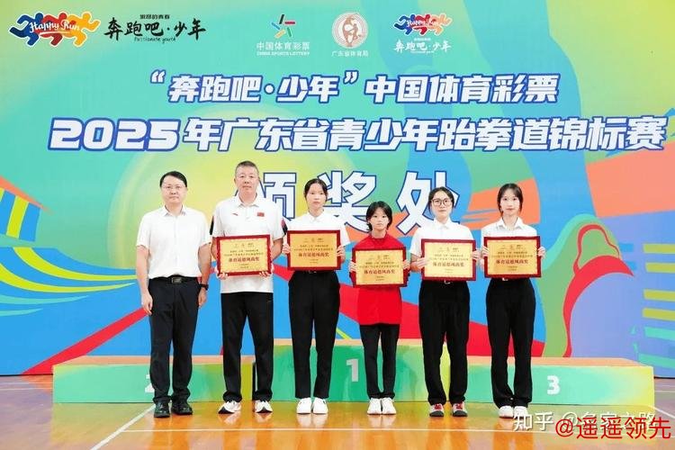 2025年广东省跆拳道联赛总决赛在佛山收官