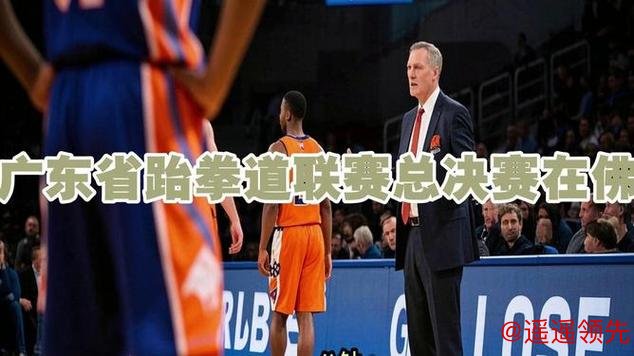 2025年广东省跆拳道联赛总决赛在佛山收官