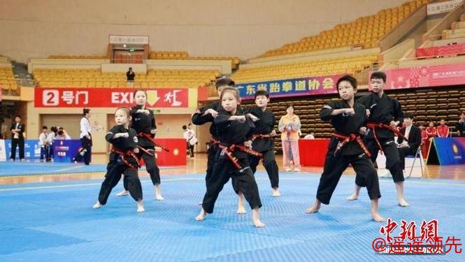 2025年广东省跆拳道联赛总决赛在佛山收官