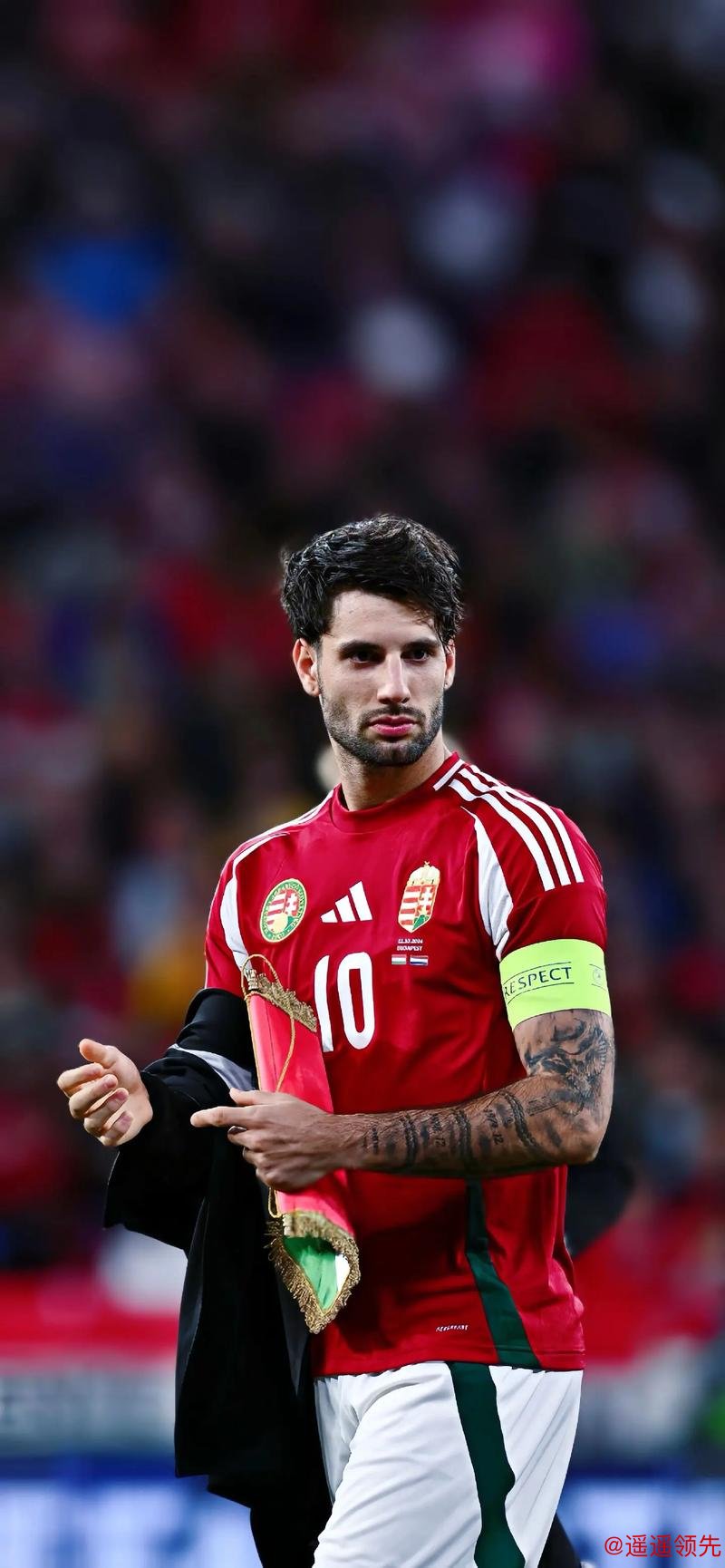 索博斯洛伊打进绝平球 匈牙利2-2战平葡萄牙