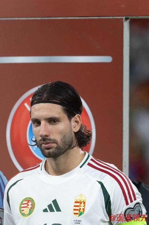 索博斯洛伊打进绝平球 匈牙利2-2战平葡萄牙