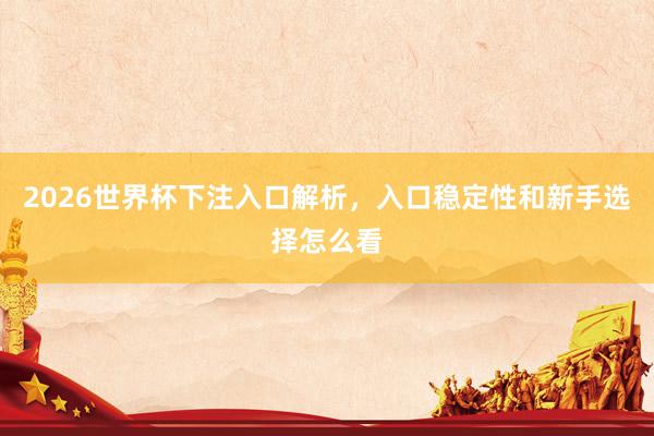2026世界杯下注入口解析，入口稳定性和新手选择怎么看